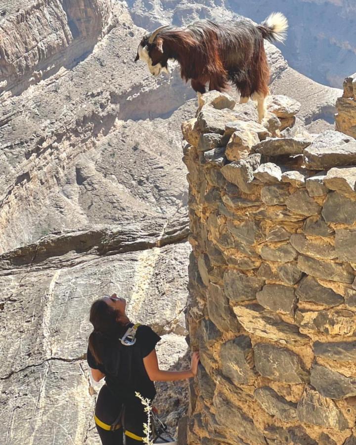 Villa Jabal Shams Mountain